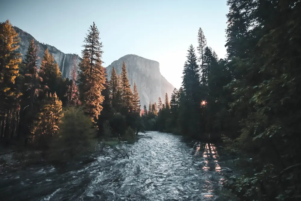 A path to healing through Mindfulness & Yoga