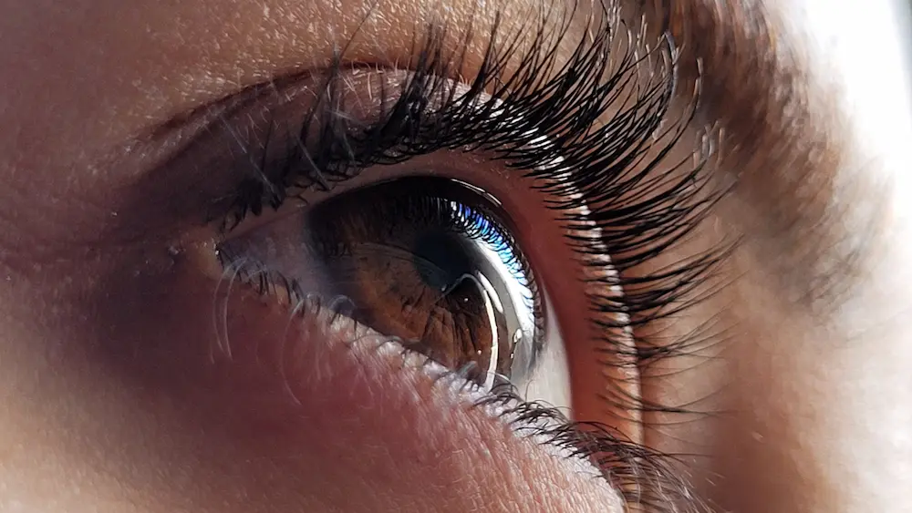 Multichannel Eye Movement Integration (MEMI)