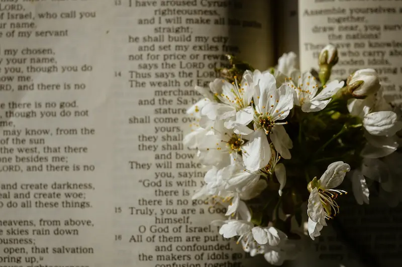 Akashic Records Reading: A pathway to Spiritual Growth and Transformation