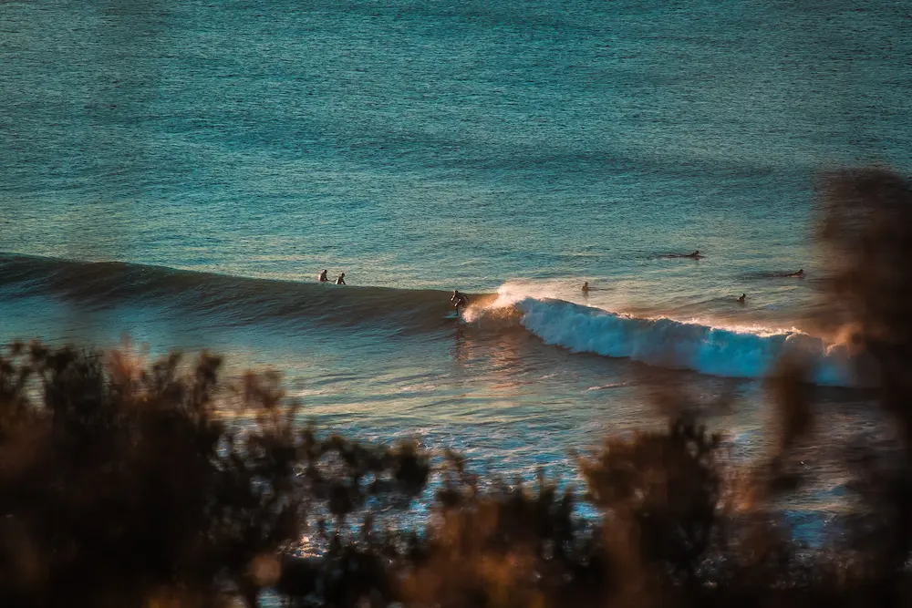 Healing waves: The transformative power of Surf Therapy