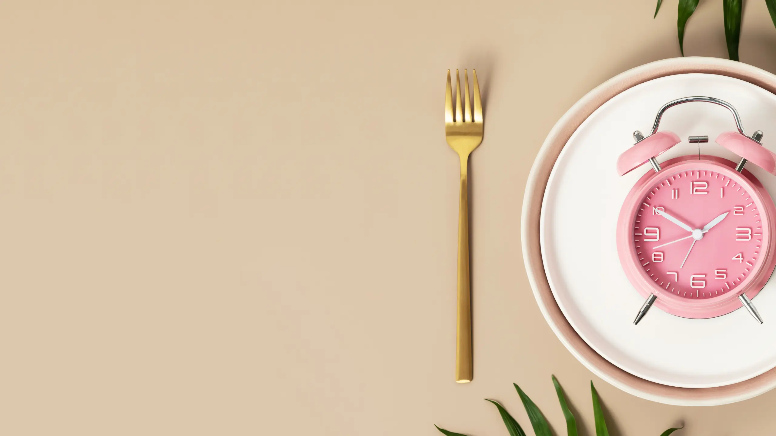 Water Fasting benefits and guide for beginners