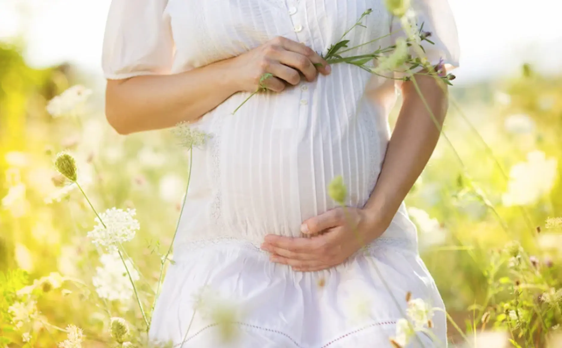 A Naturopath’s Guide to Fertility: Nourish, Balance, Thrive